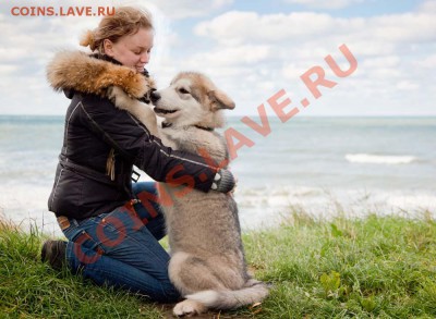 ФОТО - просто фото. Те что получились удачными. - 29 сентября 2010 №4