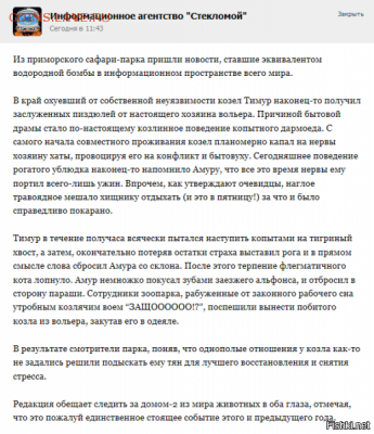 юмор - 3 ffre4