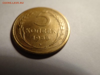 5 копеек 1955 -КРАСИВАЯ короткий!..есть БЛИЦ - DSC02759.JPG