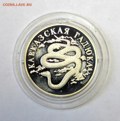 1 рубль 1999г. ГАДЮКА до 1.02.16г. в 22-30ч. МСК. - 1gadyka (1).JPG