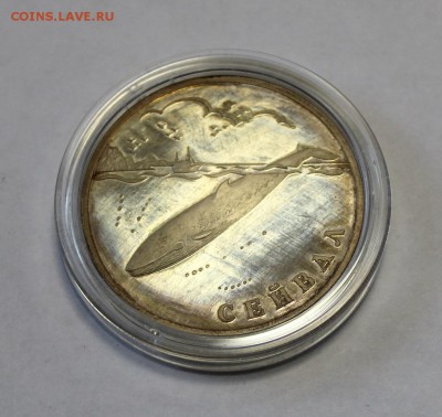 1 руб. 2002г. КИТ - Сейвал до 1.02.16г. в 22-30ч. МСК - 1seywal (4).JPG