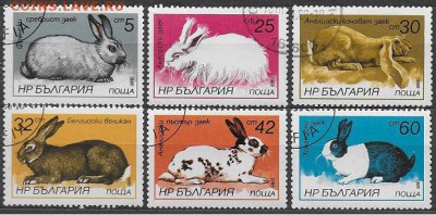 Марки Европы. Болгария "Зайцы и кролики" - Марки Европы. Болгария. Зайцы-кролики