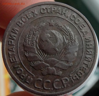 Бонус - DSC01602