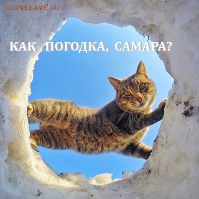 Самара на фото - FB_IMG_1454189296811 - копия