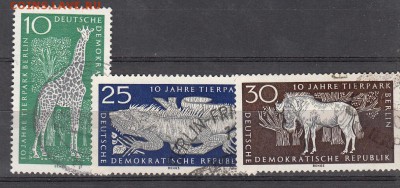 ГДР 1965 фауна - 13