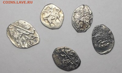 чешуя. - DSCF9758.JPG