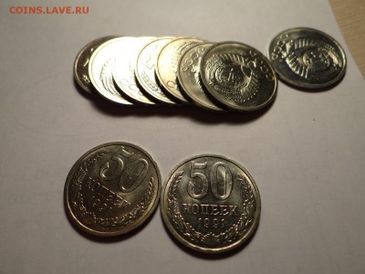короткий есть блиц - DSC02770.JPG