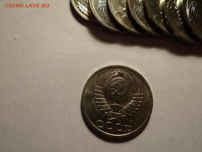 короткий есть блиц - DSC02774.JPG