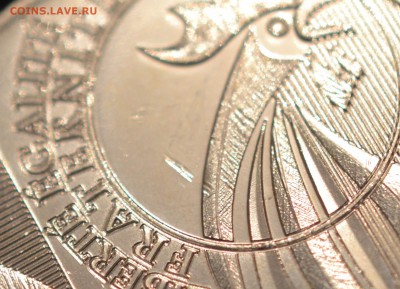 10 евро 2015 год, франция, петух - DSC_0204.JPG