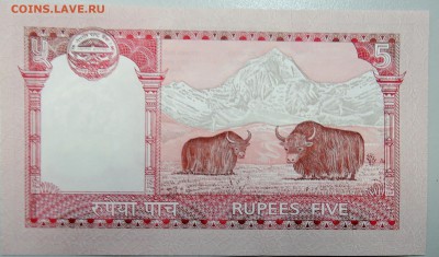 НЕПАЛ - 5 рупий 2012 г. пресс до 07.02 в 22.00 Мск - DSCN2737.JPG