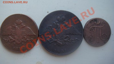 помогите оценить - DSC03313.JPG