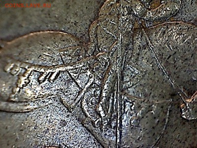 50 копеек 2005 С-П,шт.-? - 50 копеек 2005-5