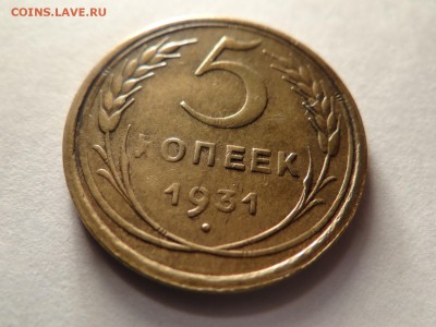 5 копеек 1931 -КРАСИВАЯ короткий!..есть БЛИЦ - DSC02817.JPG
