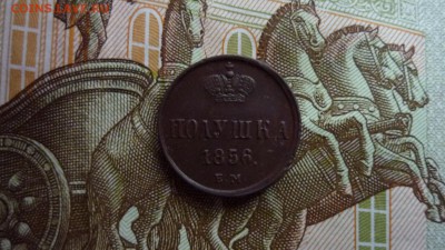 полушка 1856г. ем - image-147