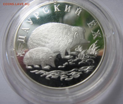 1 рубль 1999 года, Даурский ёж, 05.02.2016 г. 22:00 - Ёж1