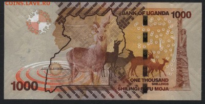 Уганда 1000 шил.2013г. UNC. до 22-00 мск 04.02.16 г. - Уганда 1000 2013 реверс