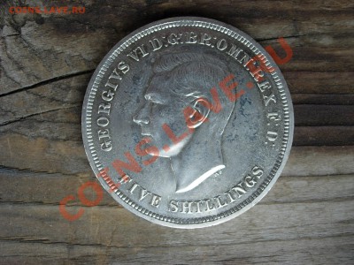 Англия, прошу оценить - DSCN0905.JPG