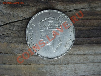 Англия, прошу оценить - DSCN0909.JPG