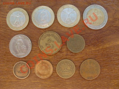 Сустов-обменник - SL374105.JPG
