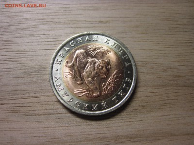 КК 1992 АМУРСКИЙ ТИГР UNC короткий  до 03.02.16 23:00 МСК - n_8p6Hx9ES0