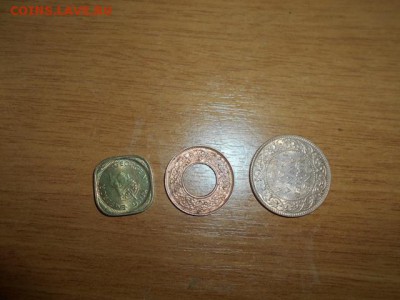 Индия - DSCN2465.JPG