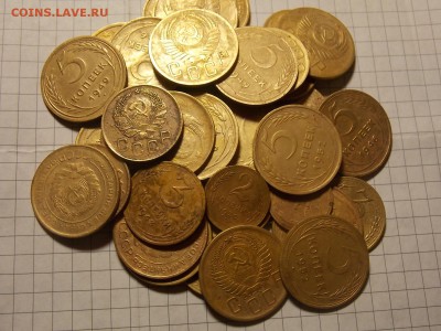 советы до 61 г(44 шт) до 05.02.16 22:00 - DSCN2924.JPG
