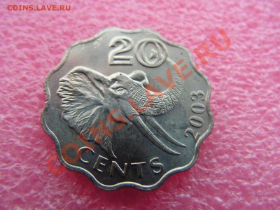 -Свазиленд- 20 цент 2003 (фауна) -- 14 октября 22-00 - с 80 (1).JPG