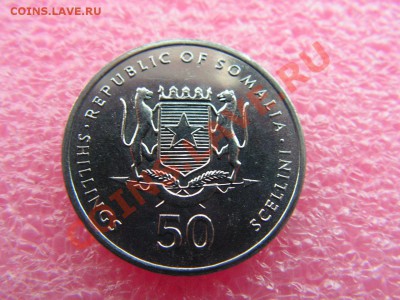 -Сомали- 50 шиллинг 2002 (фауна) -- 14 октября 22-00 - PICT0779.JPG