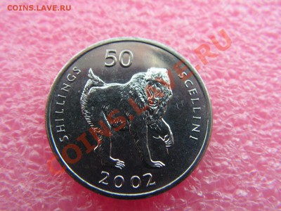 -Сомали- 50 шиллинг 2002 (фауна) -- 14 октября 22-00 - PICT0778.JPG