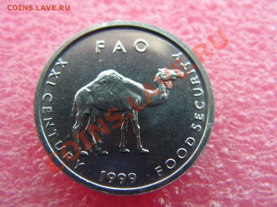-Сомали- 10 шиллинг 1999 ( ФАО ) -- 14 октября 22-00 - PICT0780.JPG