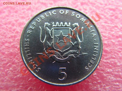 -Сомали- 5 шиллинг 2002 ( ФАО ) -- 14 октября 22-00 - PICT0783.JPG