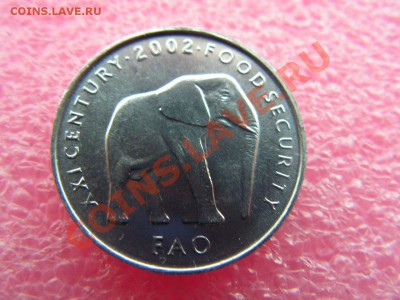 -Сомали- 5 шиллинг 2002 ( ФАО ) -- 14 октября 22-00 - PICT0782.JPG
