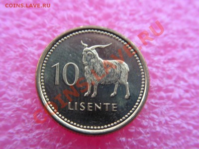 -Лесото- 10 лисенте 1998 (фауна) -- 14 октября 22-00 - л 70.JPG