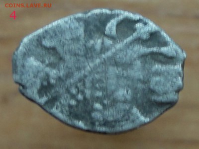 4 Чешуйки на опознание и оценку. - DSC00730