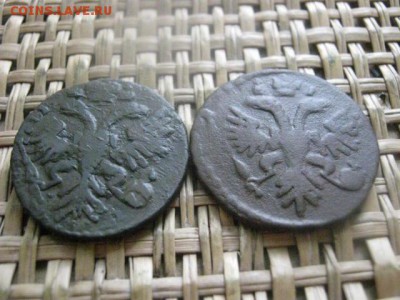 Деньга 1731г, 2 шт. Перечек. До 10.02.2016г. - 9 и 10 046.JPG