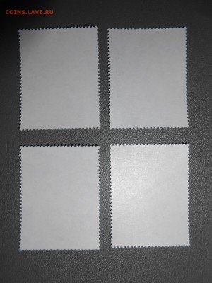 Раковины, Аргентина, полная серия чистые - DSCN7110.JPG