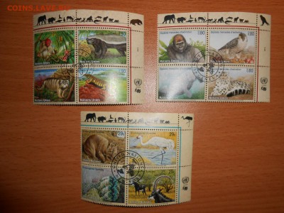 ФИКС, ФАУНА ООН, 12 квартблоков - DSCN5013.JPG