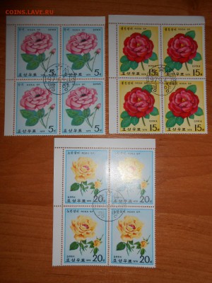 Розы, квартблоки, Корея, до 10.02.2016 - DSCN2023.JPG