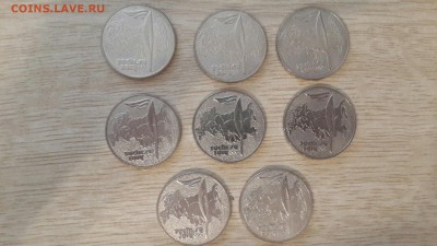  - сочи25р-факел8шт.jp1