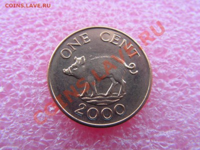 -Бермуды- 1 цент 2000 (фауна) -- 9 октября 22-00 - Бермуды 1 цент 2000 (1).JPG