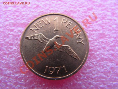-Гернси- 1 пенни 1971 (фауна) -- 14 октября 22-00 - PICT0800.JPG
