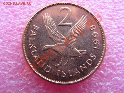 -Фолкленды- 2 пенс 1998 (фауна) -- 14 октября 22-00 - 35 (1).JPG