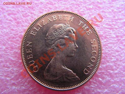 -Фолкленды- 2 пенс 1998 (фауна) -- 14 октября 22-00 - 35.JPG