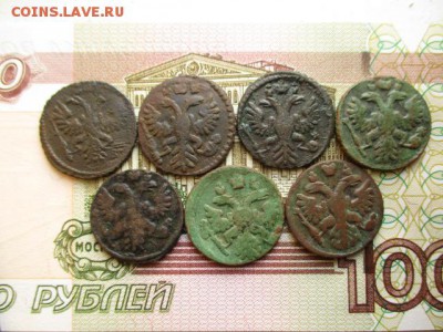 Лот полушек 1730-1739гг. До 11.02. 2016 в 22:00 по Москве. - IMG_2723.JPG