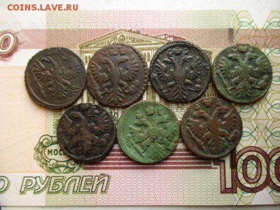 Лот полушек 1730-1739гг. До 11.02. 2016 в 22:00 по Москве. - IMG_2724.JPG