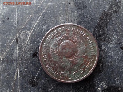 3 копейки 1924 года - DSC05299.JPG