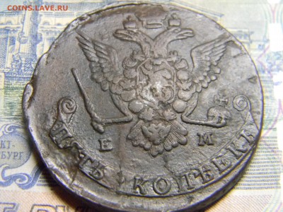 5 коп 1777 ем до 7.02 в 22.30 - Изображение 104