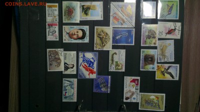 папка для марок + марки - IMAG2655