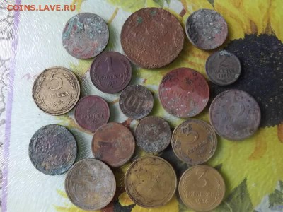 бонус. - DSCF65461J_4693728_20564554