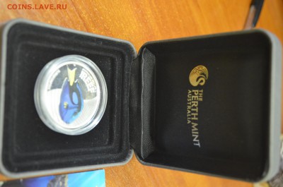 Австралия 2012г. 50 центов – Рыба хирург (PROOF) до 11.02 - DSC_0007.JPG